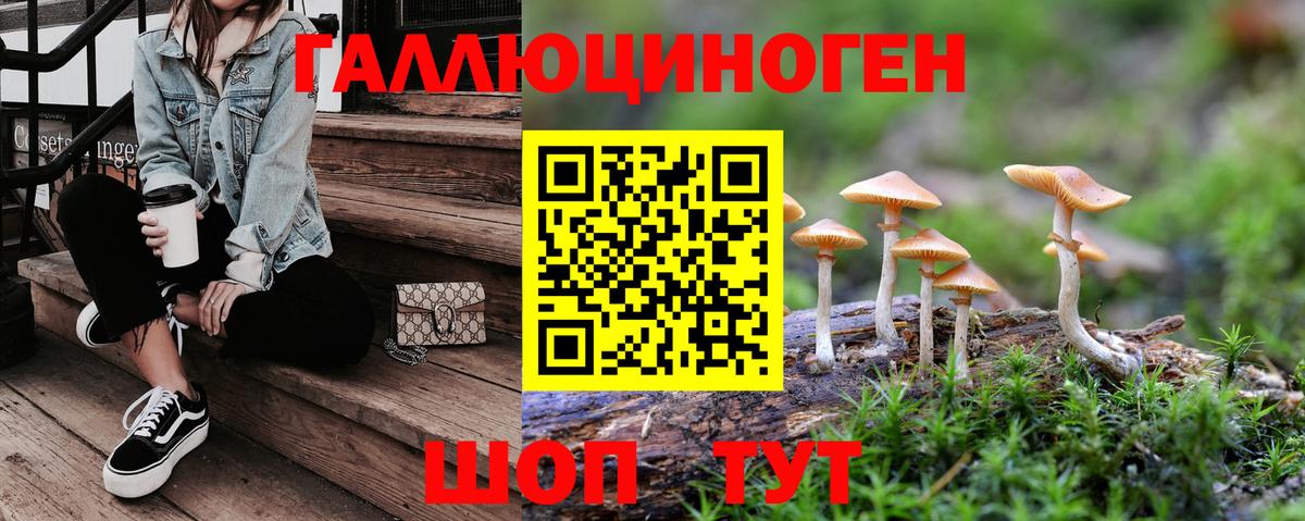 Псилоцибиновые грибы GOLDEN TEACHER  Галлюциногенные грибы мицелий  сколько стоит  Вход с VPN  Нефтекумск 